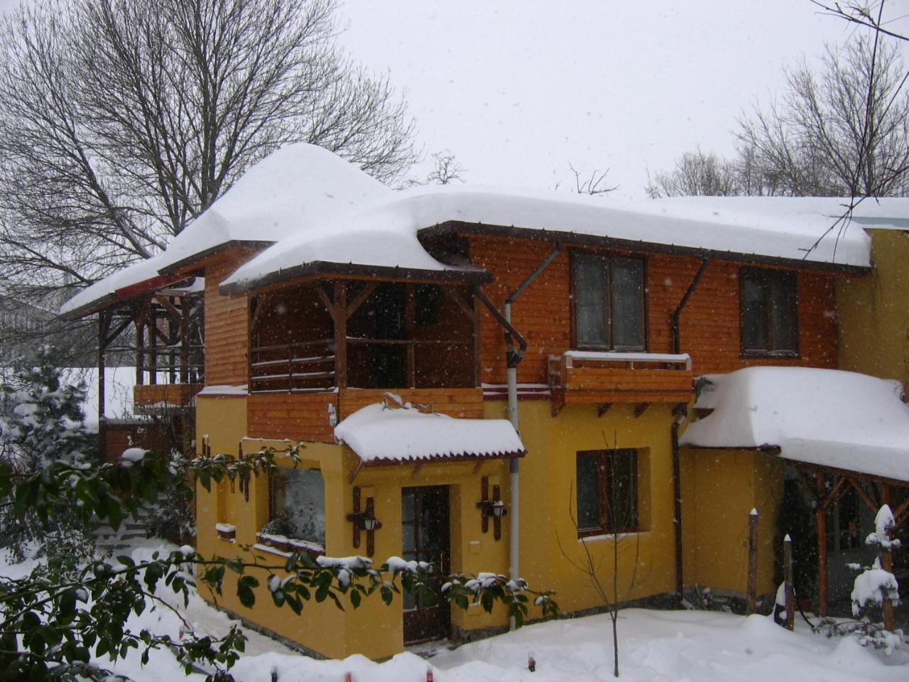 Casa Mica Guesthouse Bucureşti Ngoại thất bức ảnh
