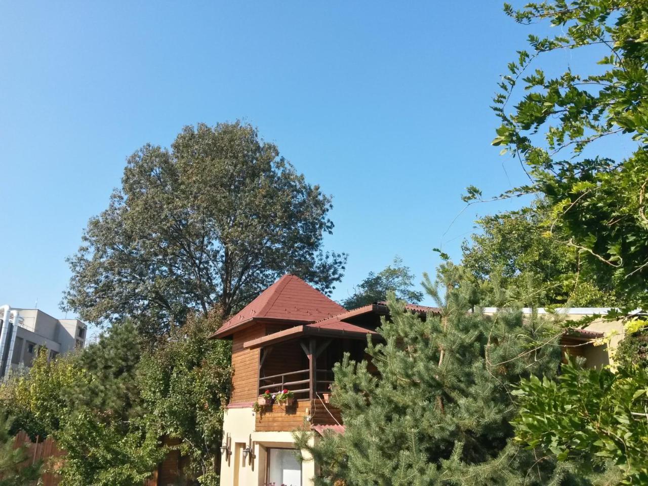 Casa Mica Guesthouse Bucureşti Ngoại thất bức ảnh