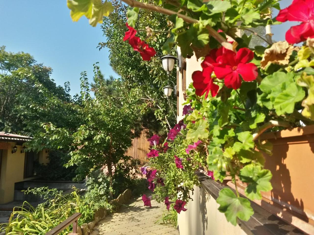 Casa Mica Guesthouse Bucureşti Ngoại thất bức ảnh