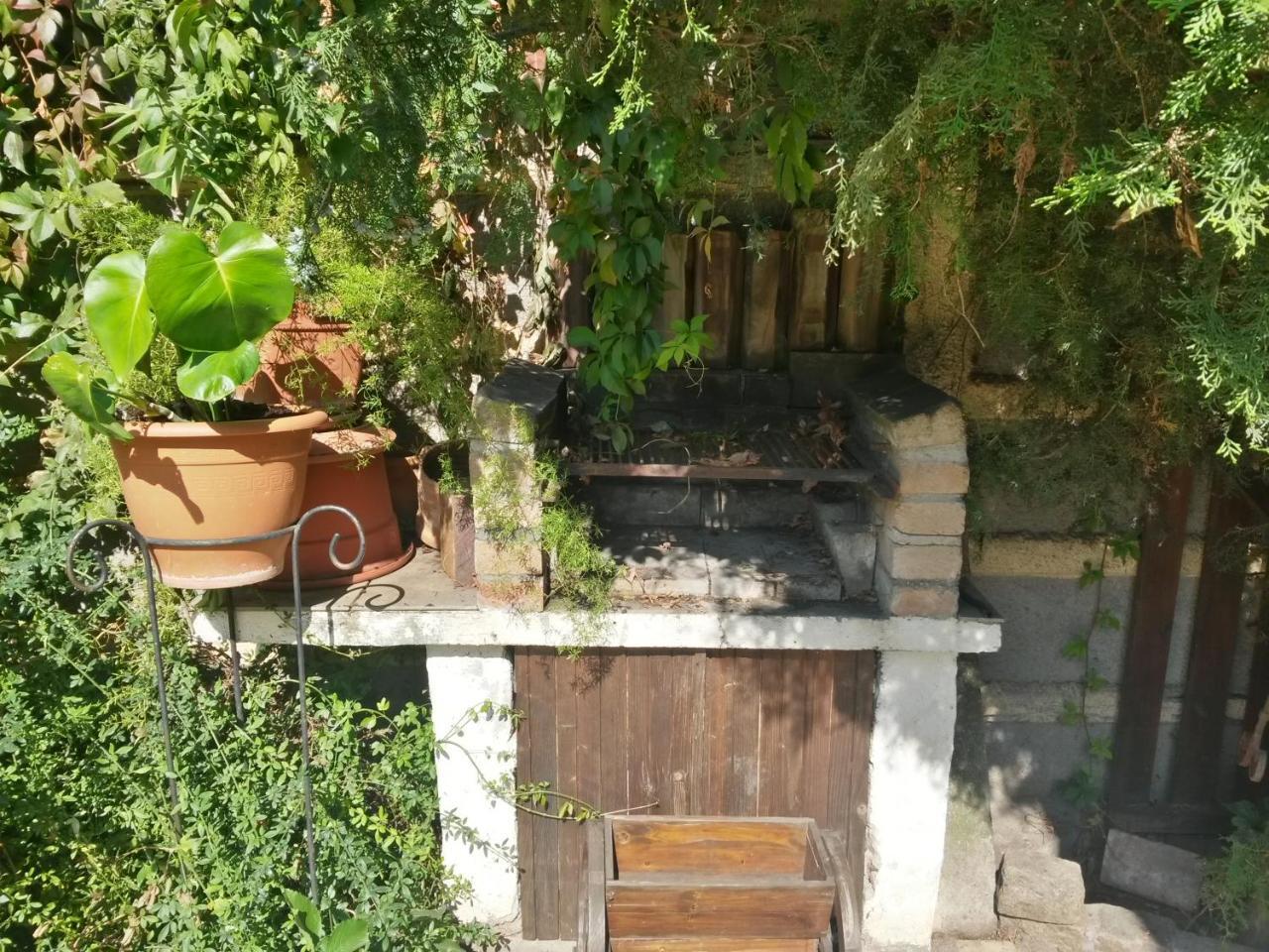 Casa Mica Guesthouse Bucureşti Ngoại thất bức ảnh