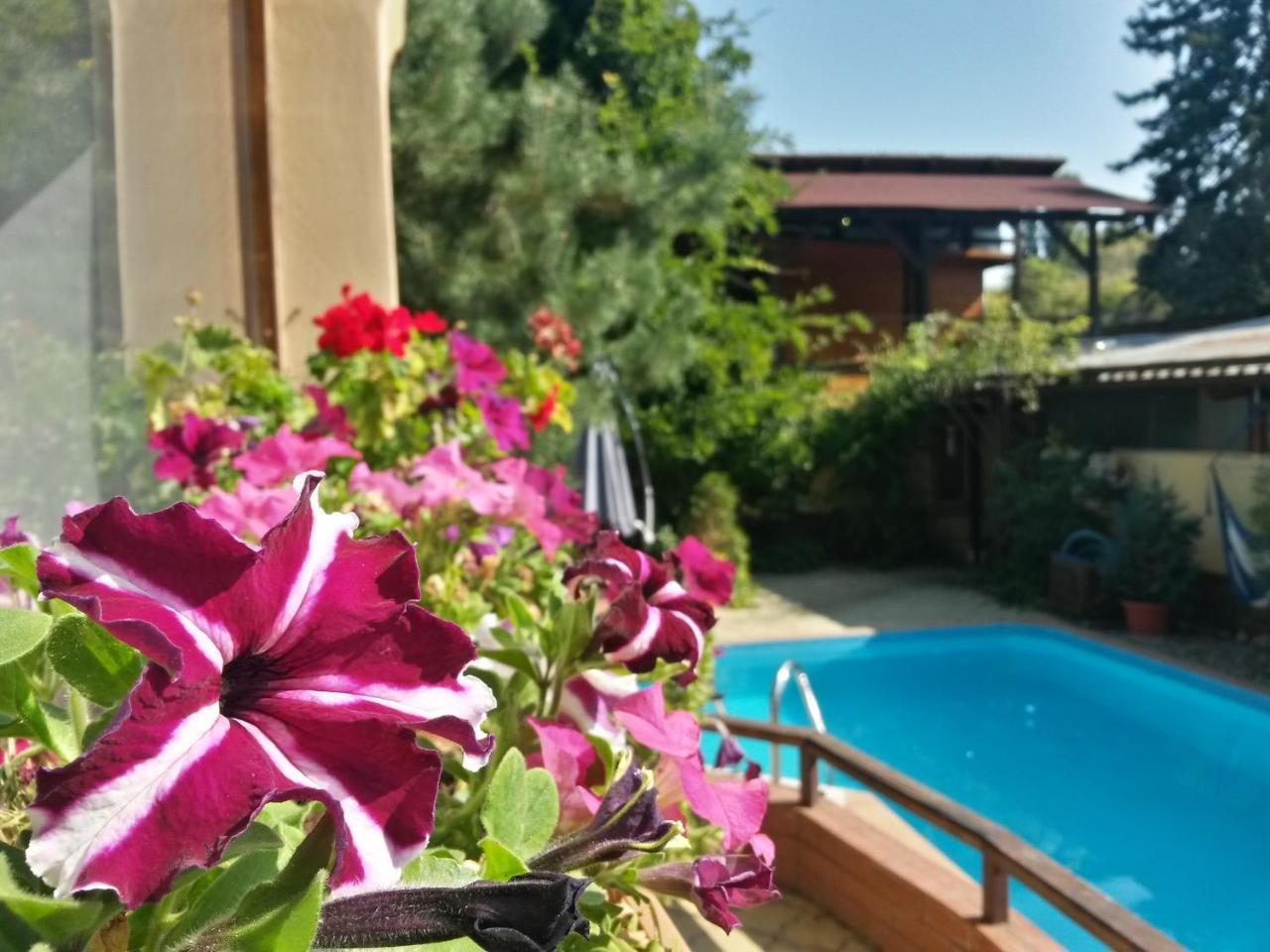 Casa Mica Guesthouse Bucureşti Ngoại thất bức ảnh
