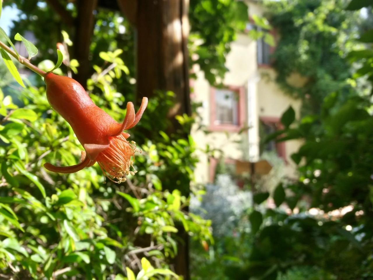 Casa Mica Guesthouse Bucureşti Ngoại thất bức ảnh
