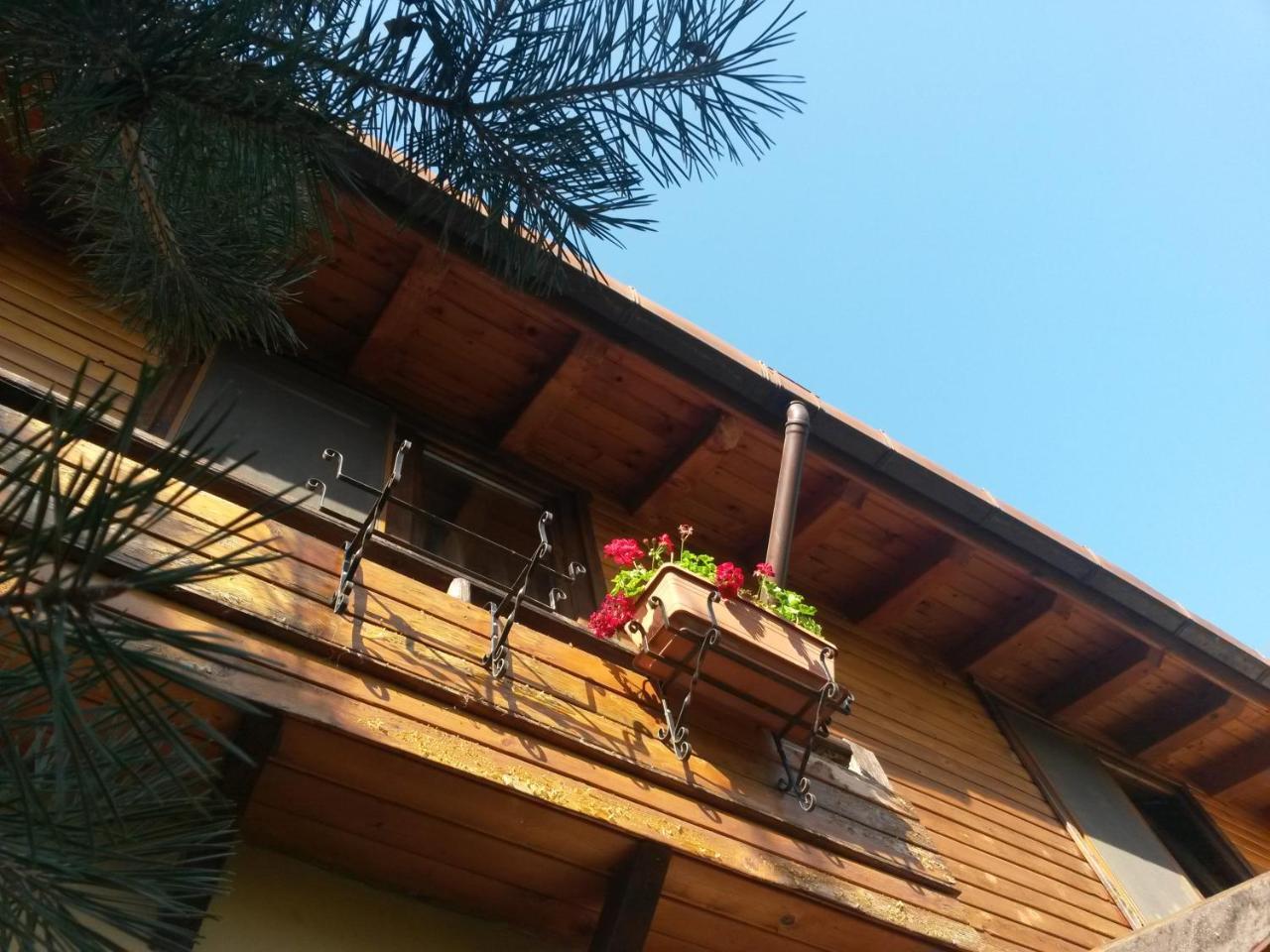 Casa Mica Guesthouse Bucureşti Ngoại thất bức ảnh