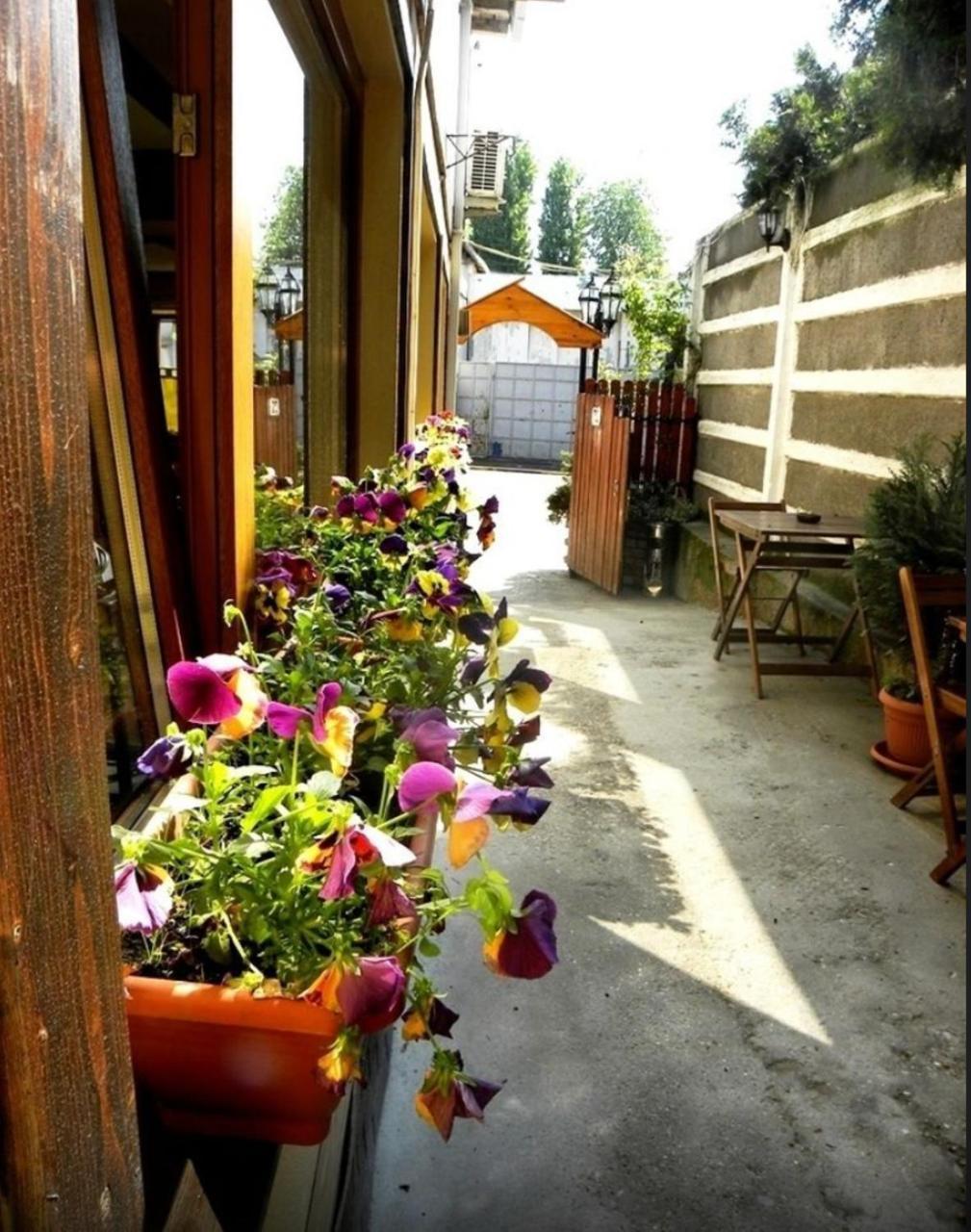 Casa Mica Guesthouse Bucureşti Ngoại thất bức ảnh