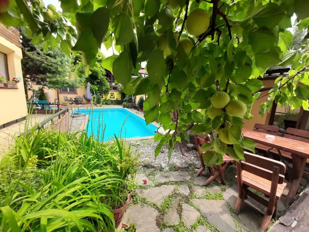 Casa Mica Guesthouse Bucureşti Ngoại thất bức ảnh